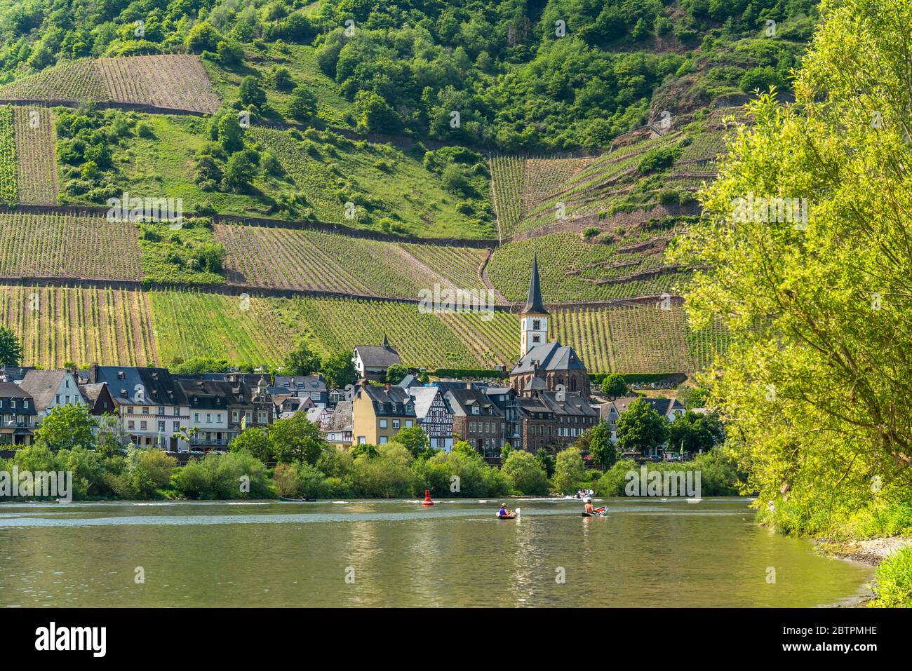 Weinort Bremm an der Mosel  und die Weinberge am Calmont, Rheinland-Pfalz, Deutschland  |  Wine village of Bremm at the river Moselle and the sloped v Stock Photo