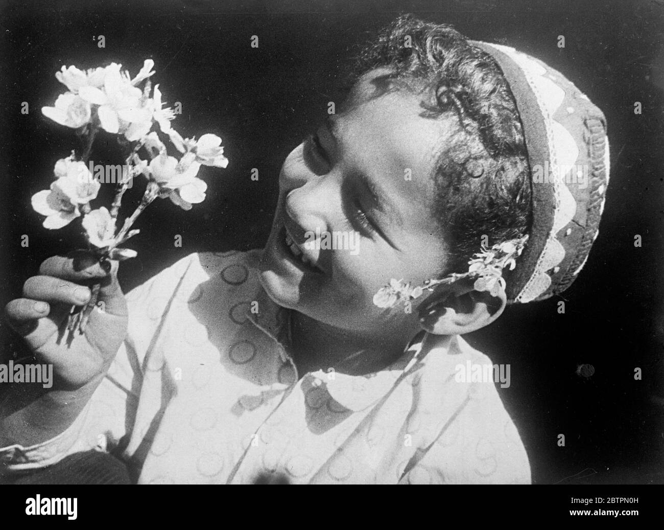 Smile for summer's bounty. Summer, with its riot of almond, apricot and pistachio blossoms, has come to Soviet Middle Asia and this laughing, curly-headed Uzbek Boyd has a welcoming smile for the spray of apricot blossom he has plucked from the bough. 24 April 1937 [around?] Stock Photo