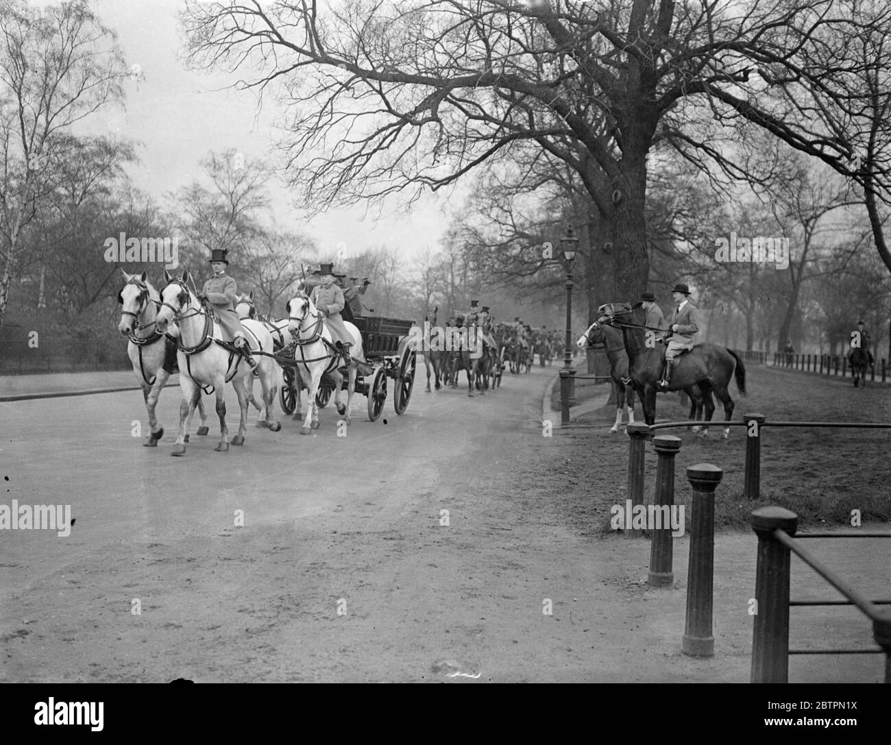 Coronation horses rehearse. Horses which are to be used at the Coronation were harnessed to brakes representing coaches and exercised of part of the route. Photo shows: the horses passing through Green Park near Buckingham Palace. 8 April 1937 Stock Photo