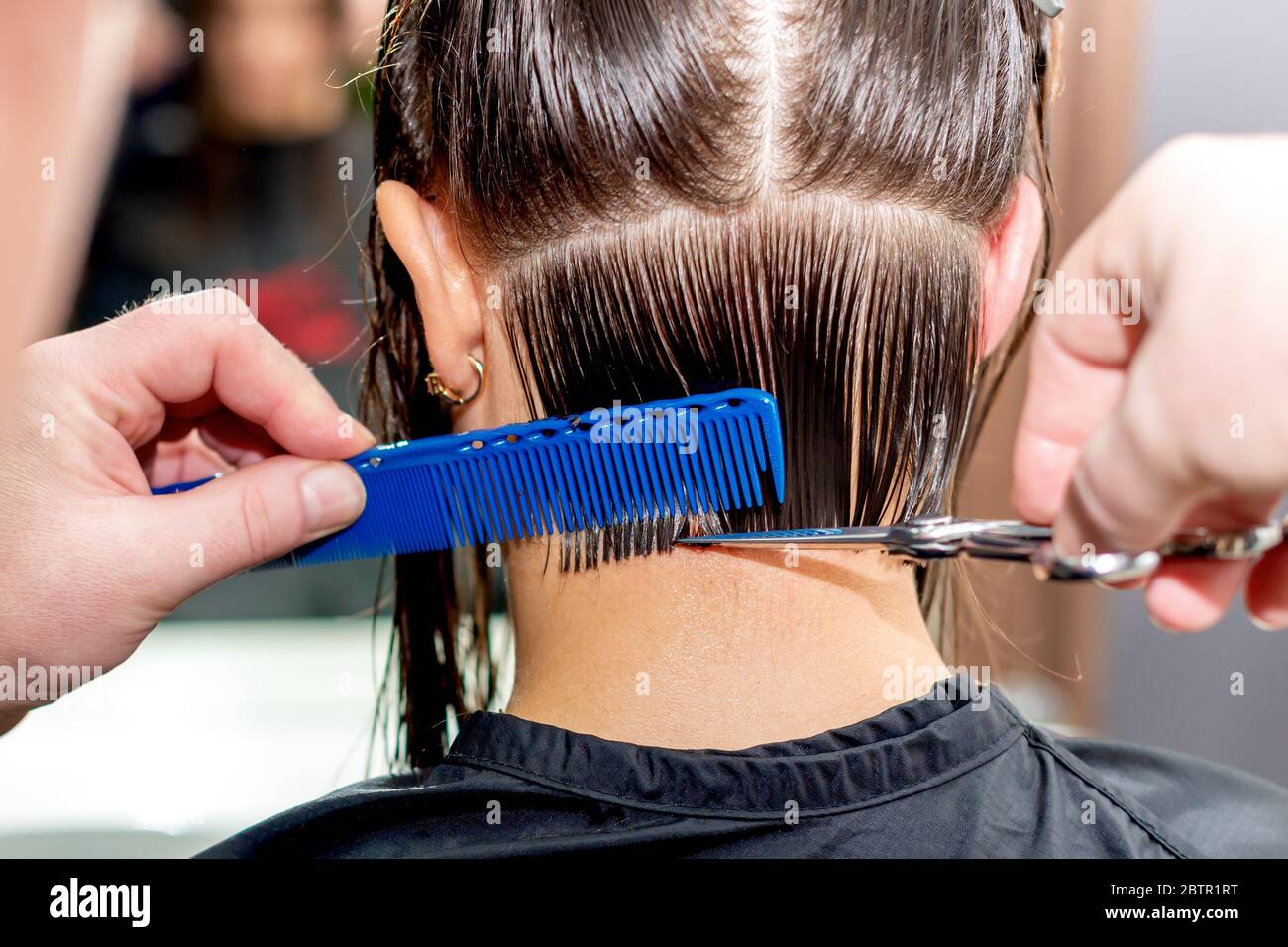 Back view hairdresser is cutting woman's hair in hair salon Stock Photo ...