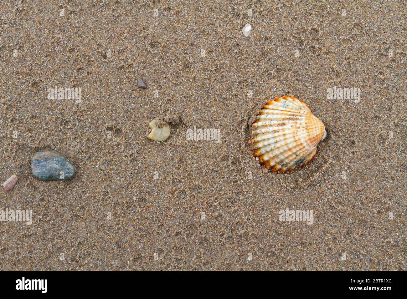 Texture on the beach sand Stock Photo