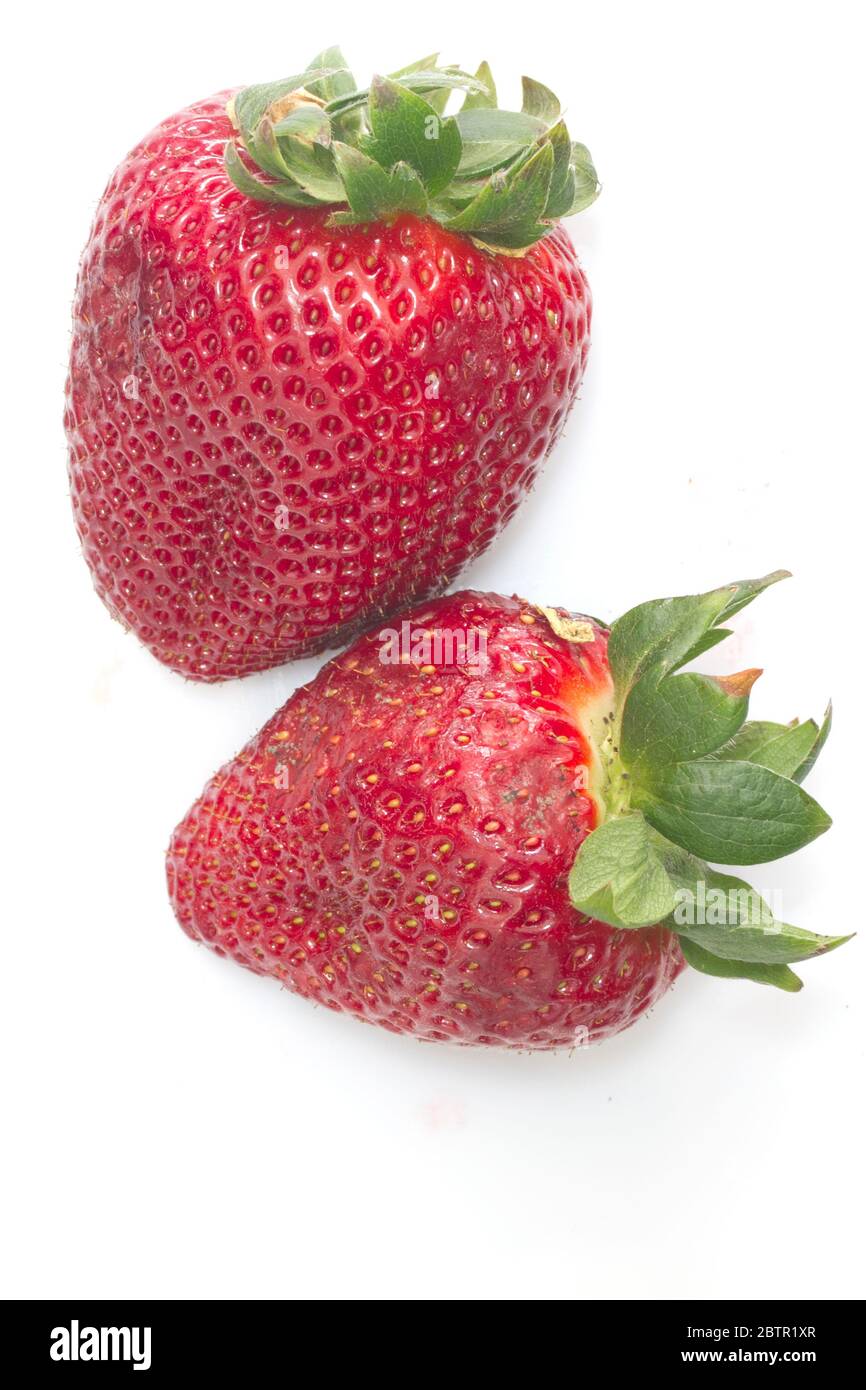 Fresh strawberries with white background Stock Photo