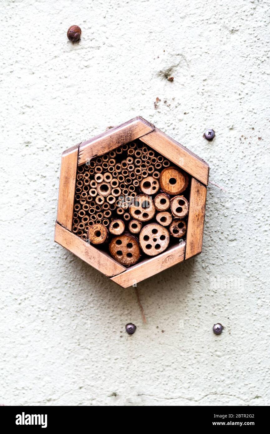Close-up of a hexagonal bug hotel, been house, insect shelter (London, UK) Stock Photo