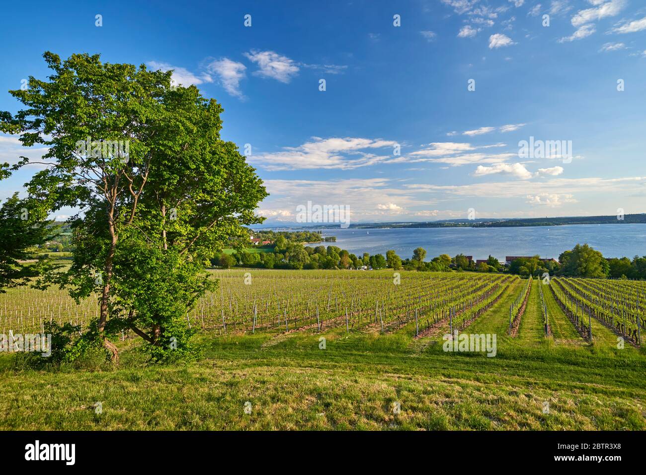 Lake Constance, Germany Stock Photo