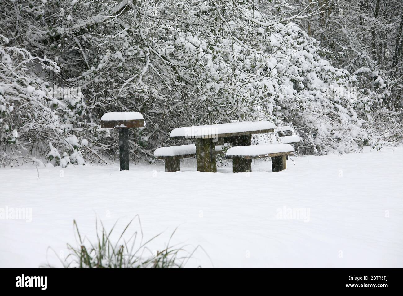 Sheep in snow rural sussex hi-res stock photography and images - Alamy
