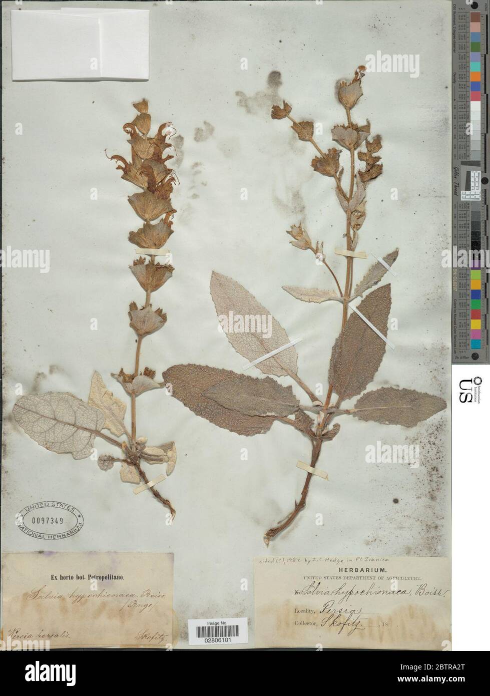 Medicinal taxonomy hi-res stock photography and images - Alamy
