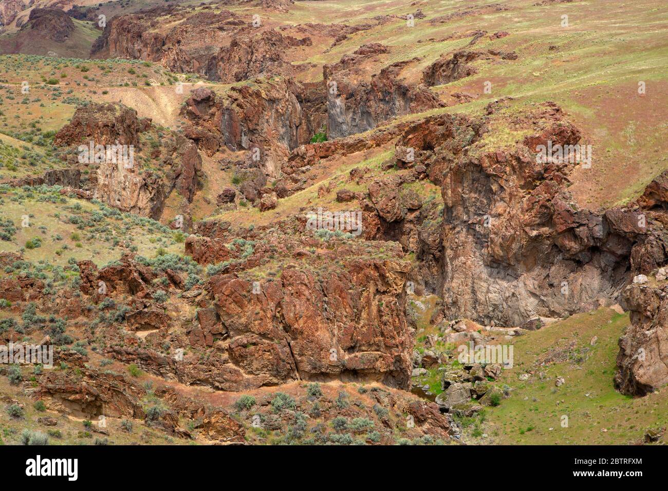 Oregon's Succor Creek: A Hidden Gem Waiting to be Discovered