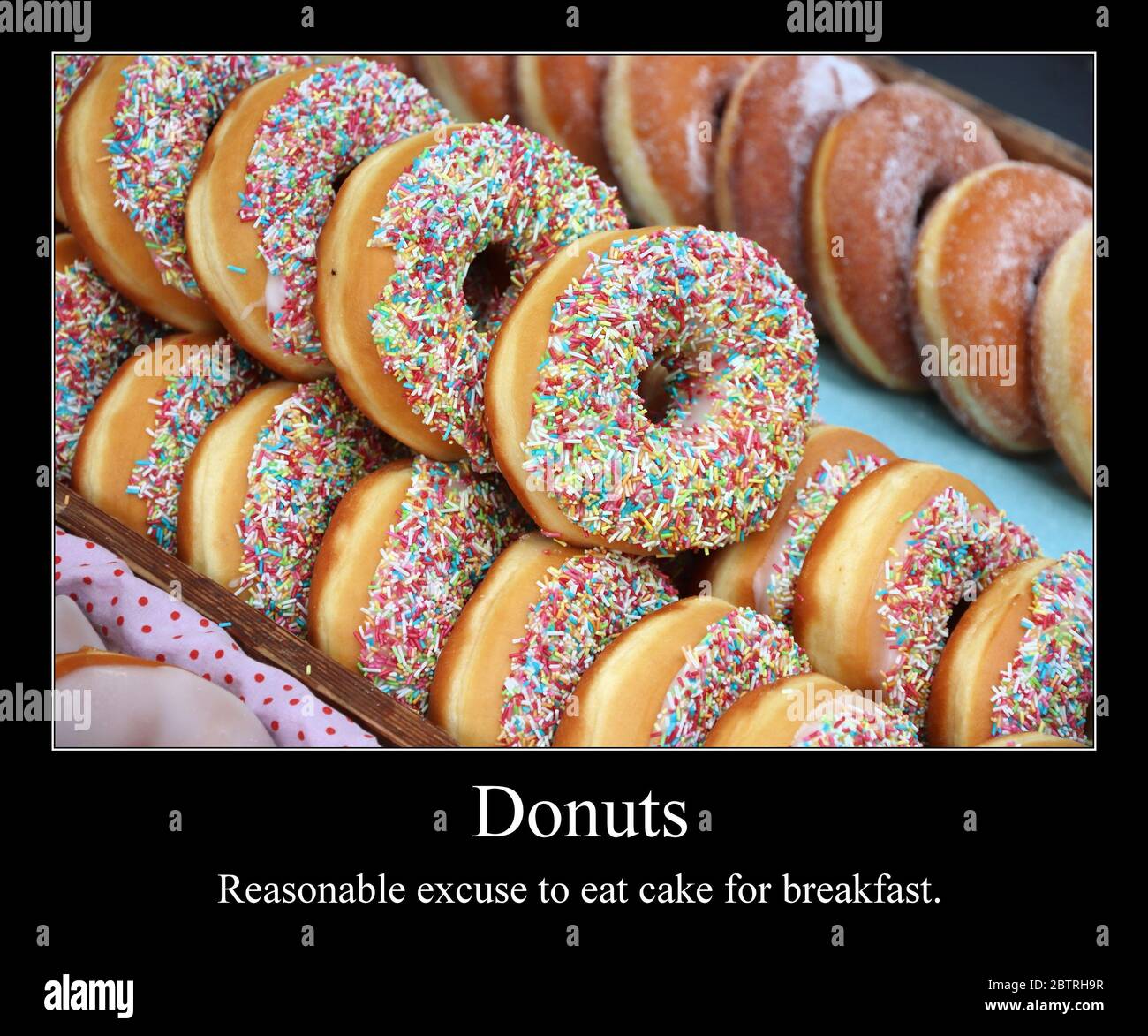 Donuts : r/funny