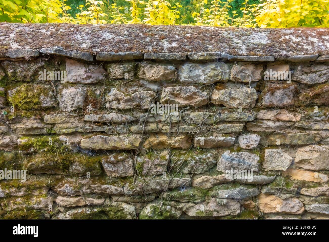 Centuries old stone boundary wall, constructed with layers of uneven, cemented local stonework, with curved top. Lincolnshire, England, UK. Stock Photo