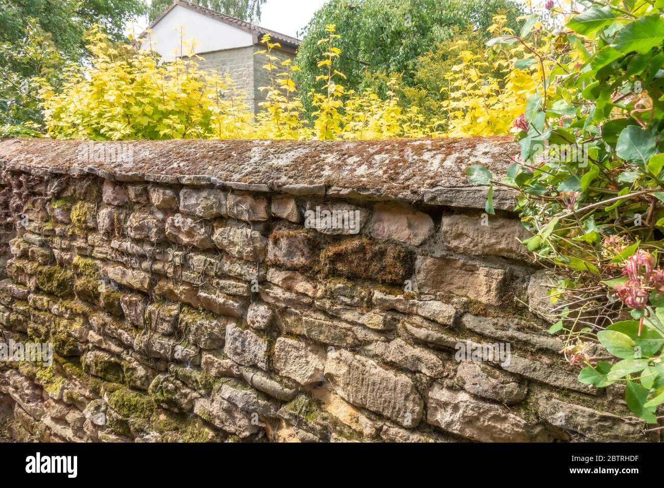 Centuries old stone boundary wall, constructed with layers of uneven, cemented local stonework, with curved top. Lincolnshire, England, UK. Stock Photo