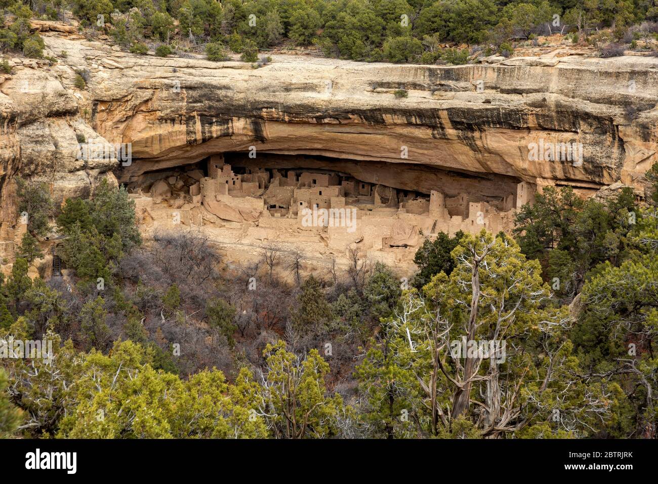 CO00261-00...COLORADO - Cliff Palace, built over 700 years ago in an alcove; now part of Mesa Verde National Park. Stock Photo