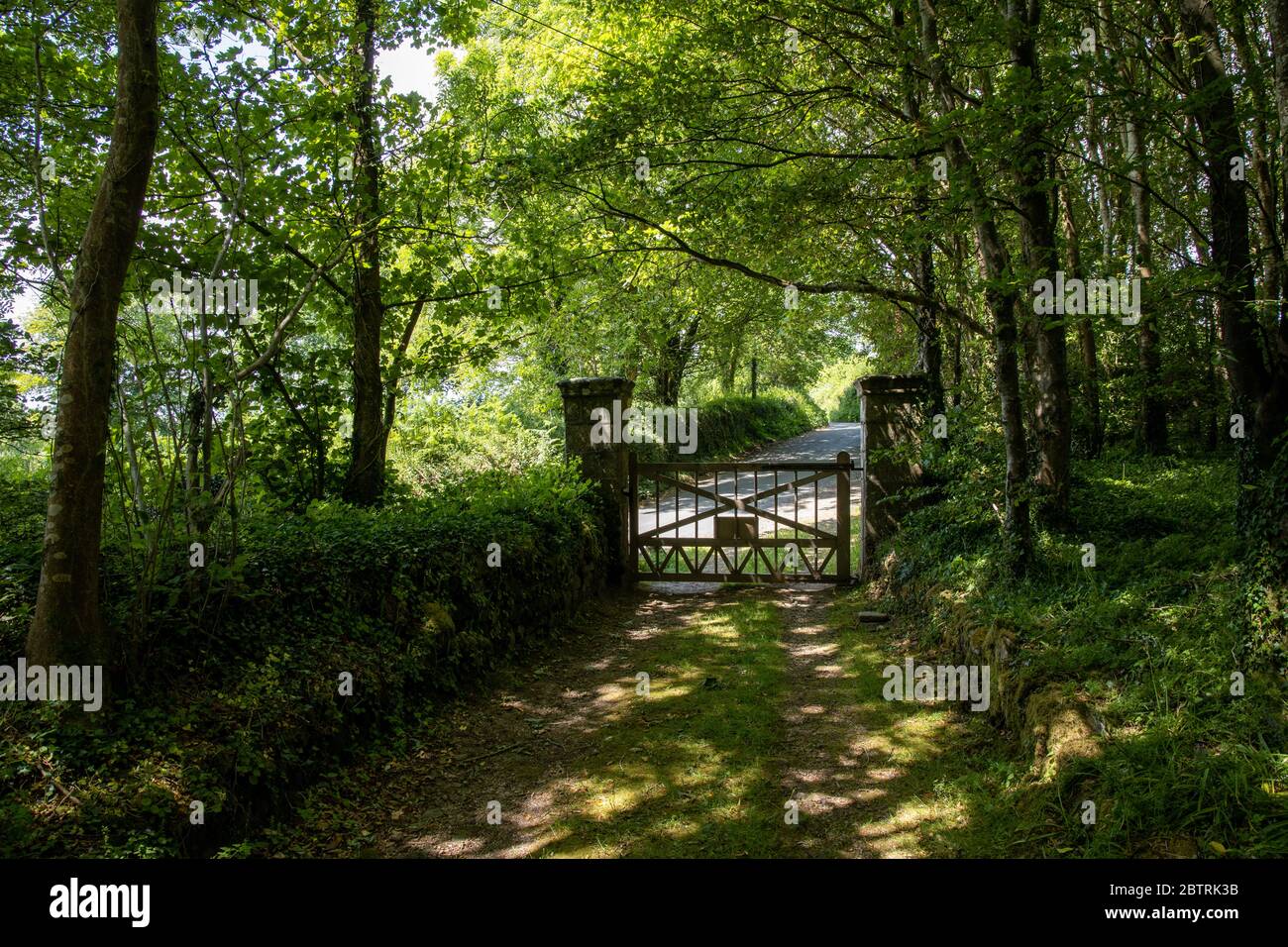 Entrance gate to woodlands at Lukesland Gardens, Ivybridge, Devon Stock Photo