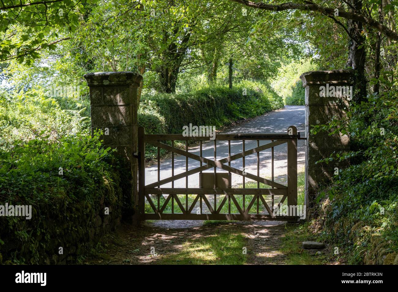Entrance gate to woodlands at Lukesland Gardens, Ivybridge, Devon Stock Photo