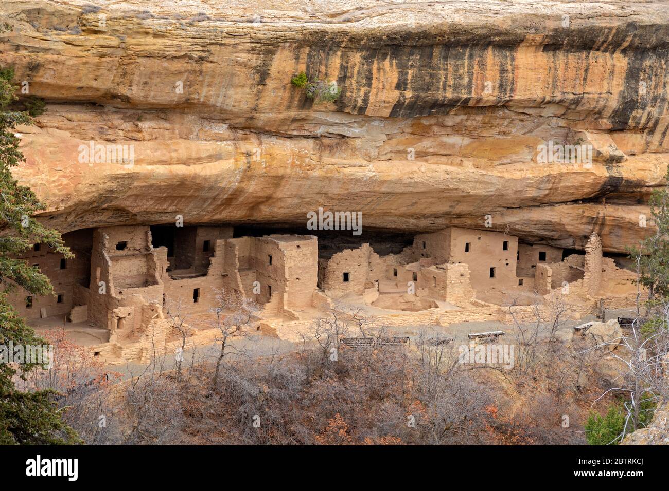 CO00268...COLORADO - Spruce Tree House built by the Ancestral Puebloans in a deep alcove over 700 years ago; now in Mesa Verde National Park. Stock Photo
