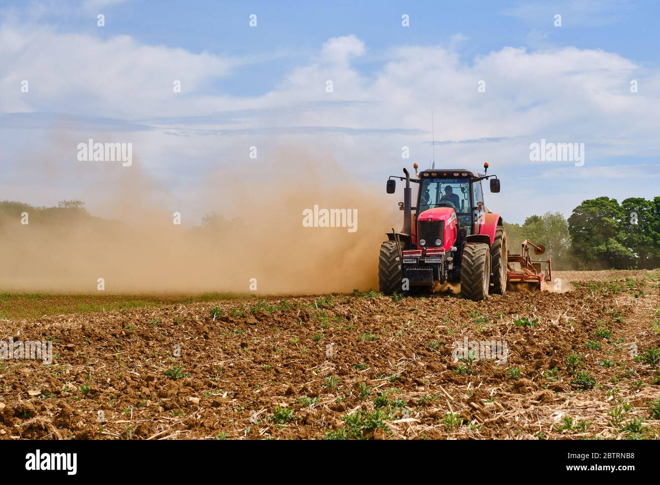 Red Massey Ferguson tractor with Kuhn HR4002 power harrow and Ferrag Accord 4 metre combination drill seeding drilling plots in dry dusty conditions Stock Photo