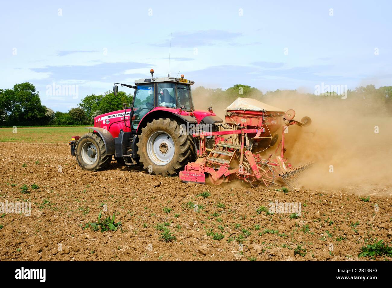 Red Massey Ferguson tractor with Kuhn HR4002 power harrow and Ferrag Accord 4 metre combination drill seeding drilling plots in dry dusty conditions Stock Photo