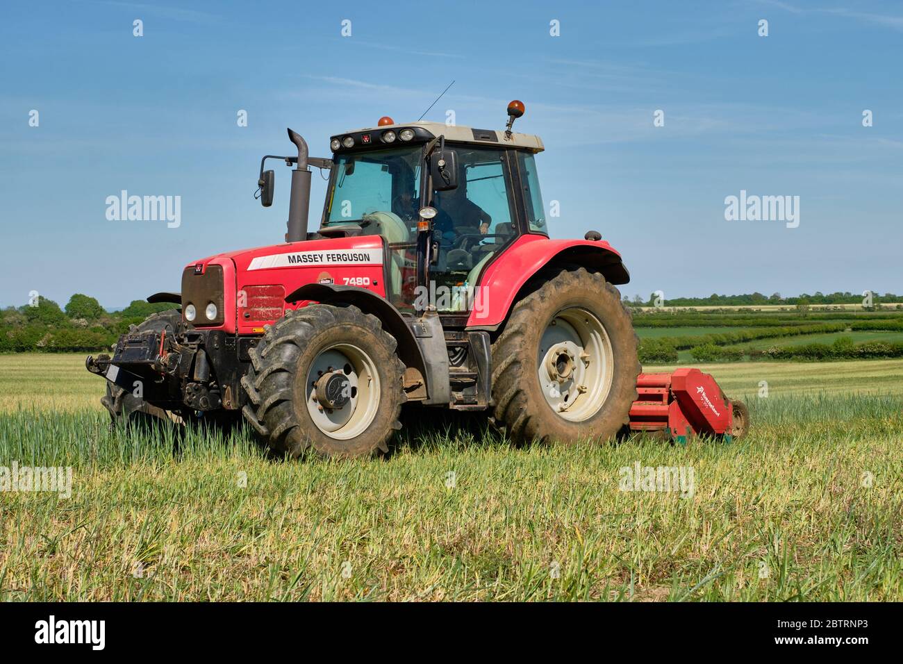 Red Massey Ferguson 7480 Dyna-VT tractor and Kverneland flail mower mowing or topping grass in a field Stock Photo