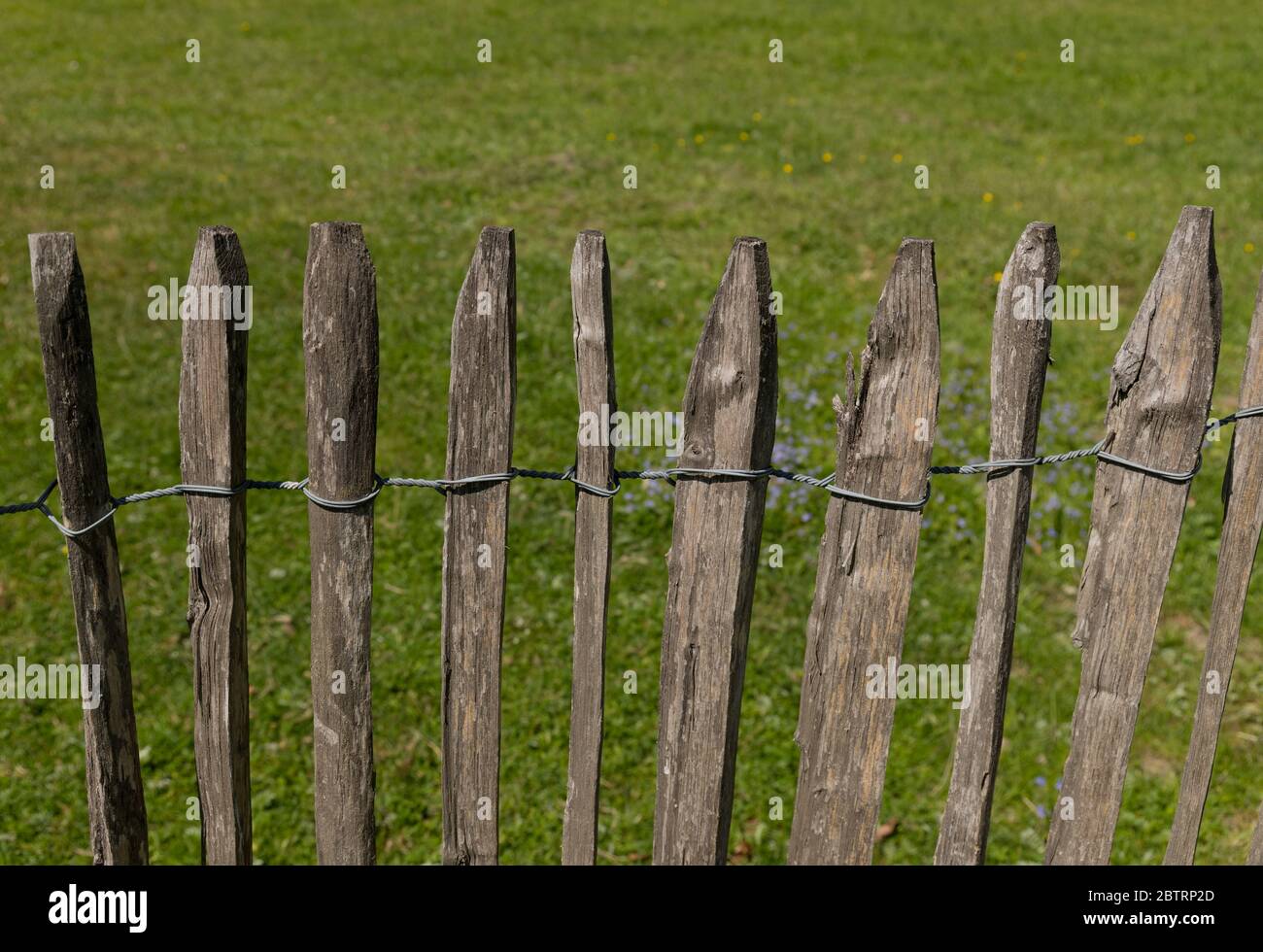 close-up of a weathered wooden fence Stock Photo