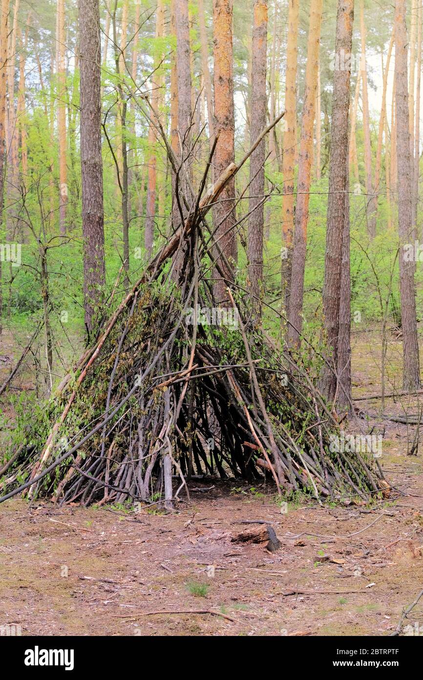 Primitive bushcraft from all natural materials. Forest hut in summer forest. Vertical view. Stock Photo
