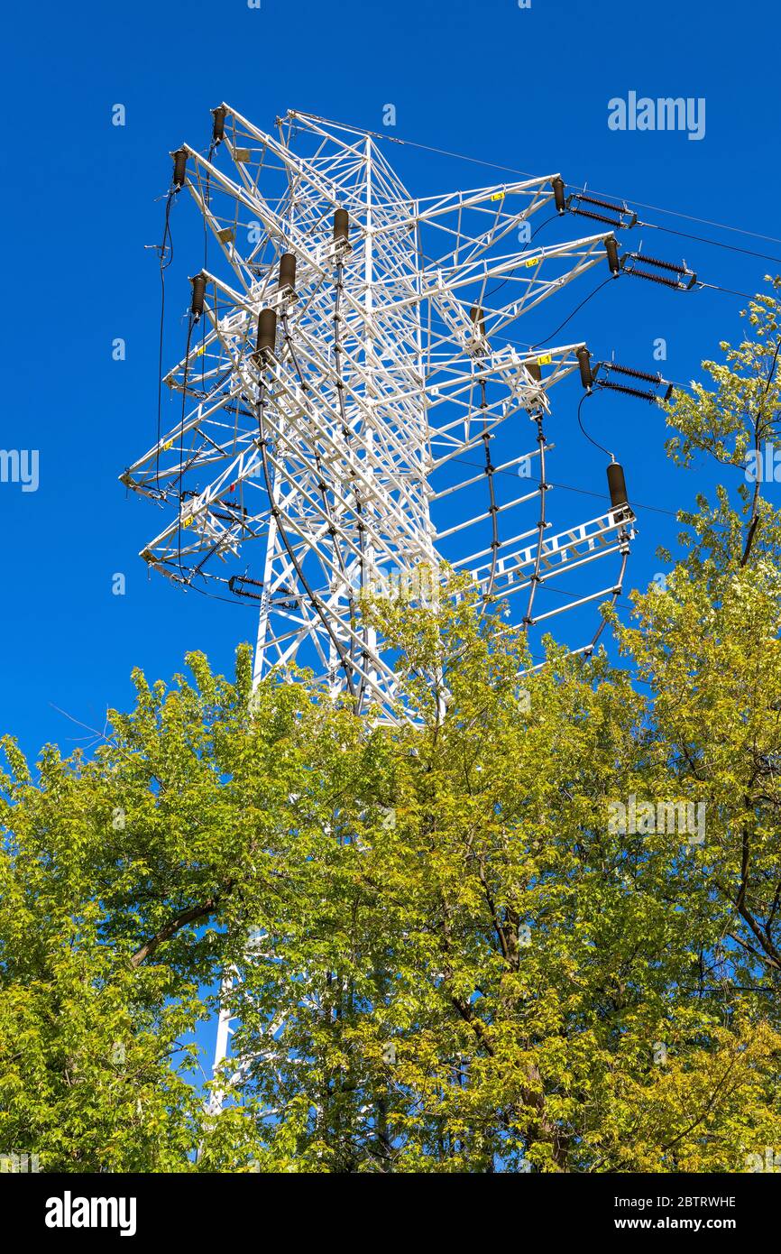 High voltage high power electricity pylon with extensive metal ...