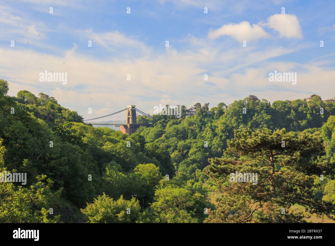The Avon Gorge with the Clifton Suspension Bridge, Bristol, England Stock Photo