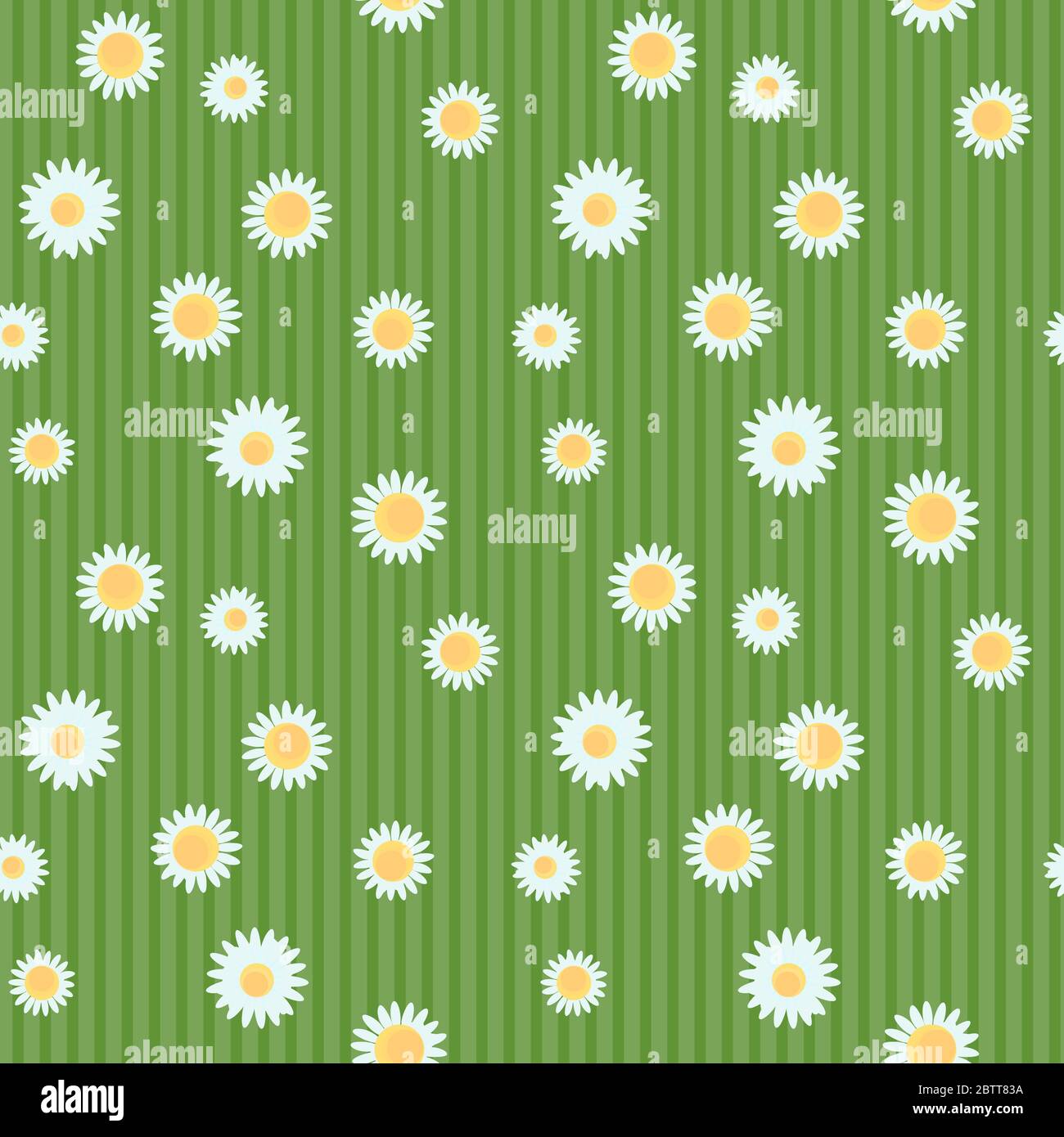 Chamomile flowers seamless pattern on a green striped background ...