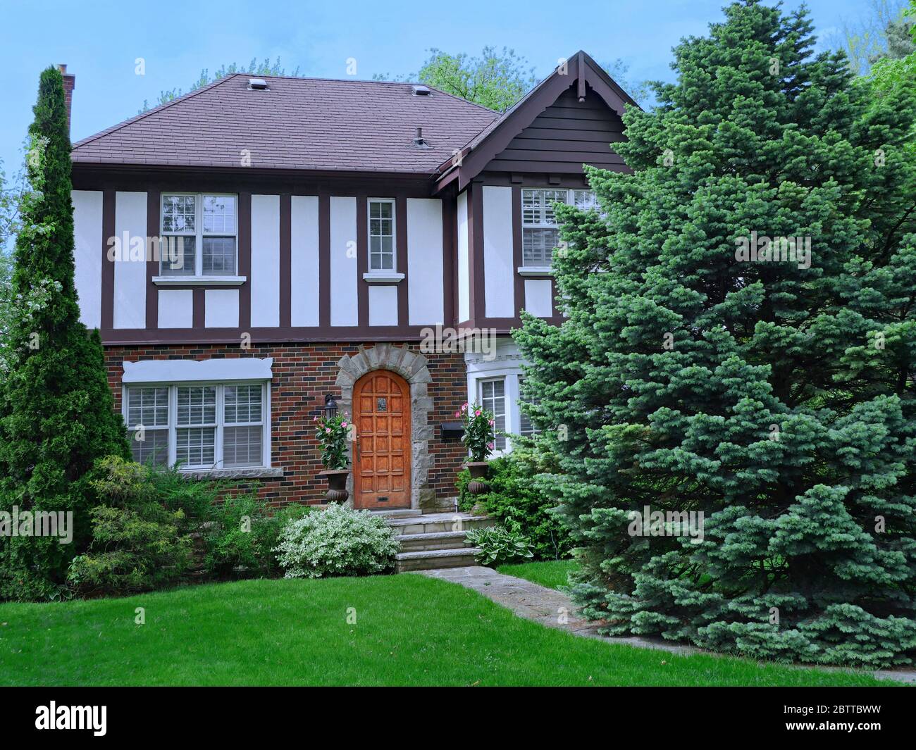 tudor style house with large pine tree in front yard Stock Photo