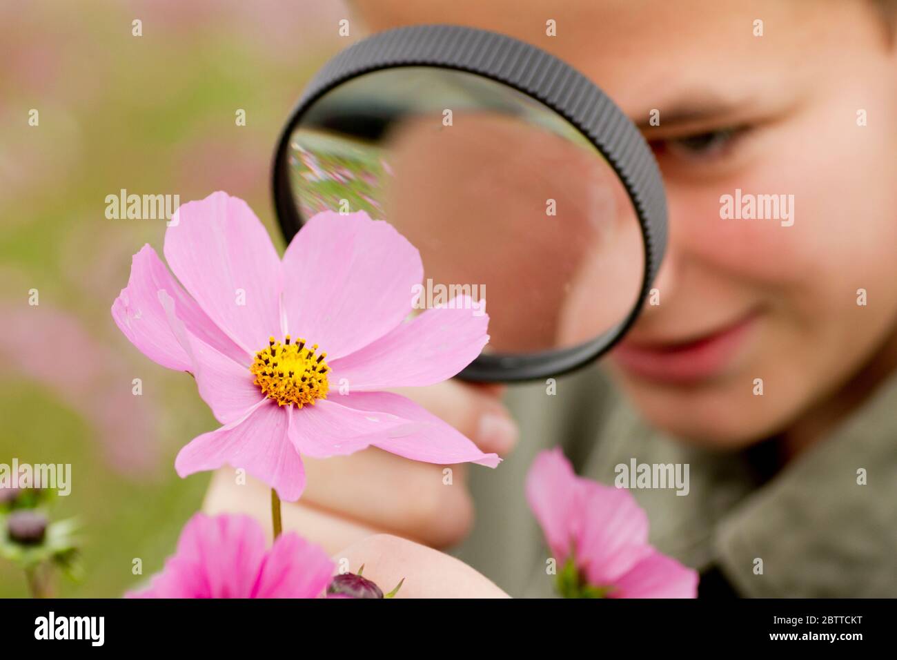Junge betrachtet Blume durch eine Lupe, MR: Yes Stock Photo