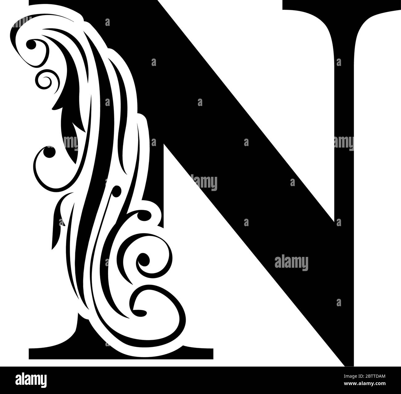 letter N. Vintage black flower ornament initial letters.  Alphabet. Logo vector Stock Vector