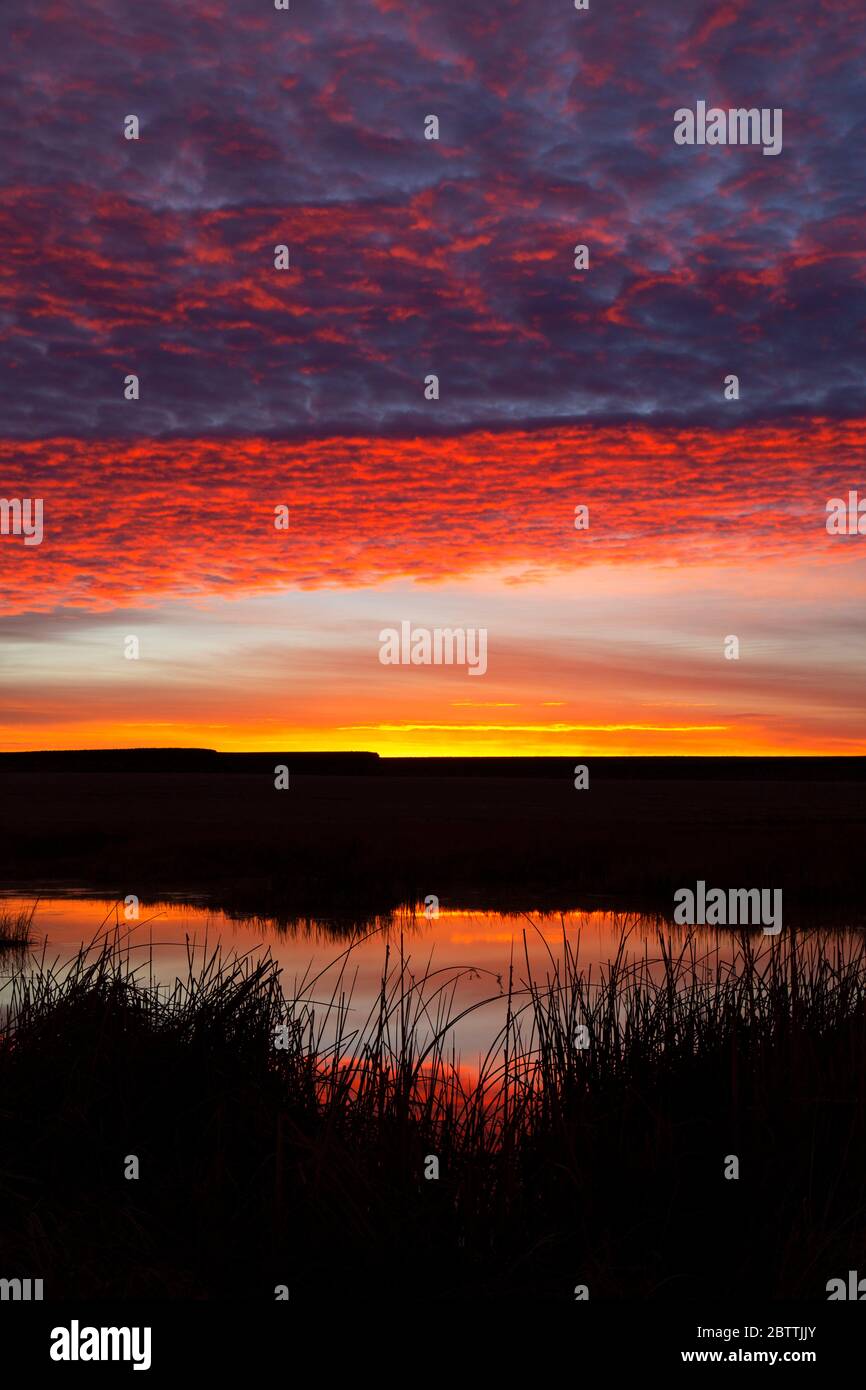 Otter Pond sunrise, Malheur National Wildlife Refuge, Oregon Stock