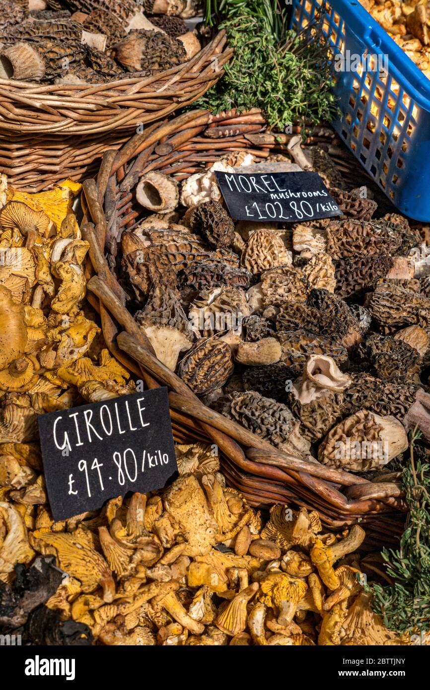 MOREL GIROLLE MUSHROOMS MARKET DISPLAY Luxury rare expensive fresh