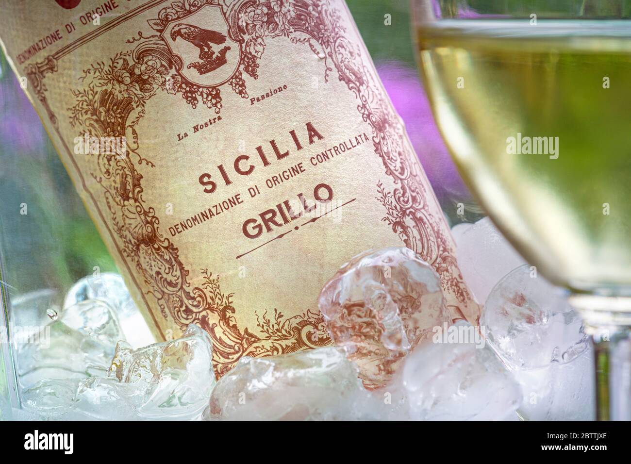 GRILLO SICILY WINE GLASS Bottle of Sicilian DOC Grillo white wine in wine cooler with ice & poured glass in foreground alfresco floral garden terrace situation Italy Stock Photo