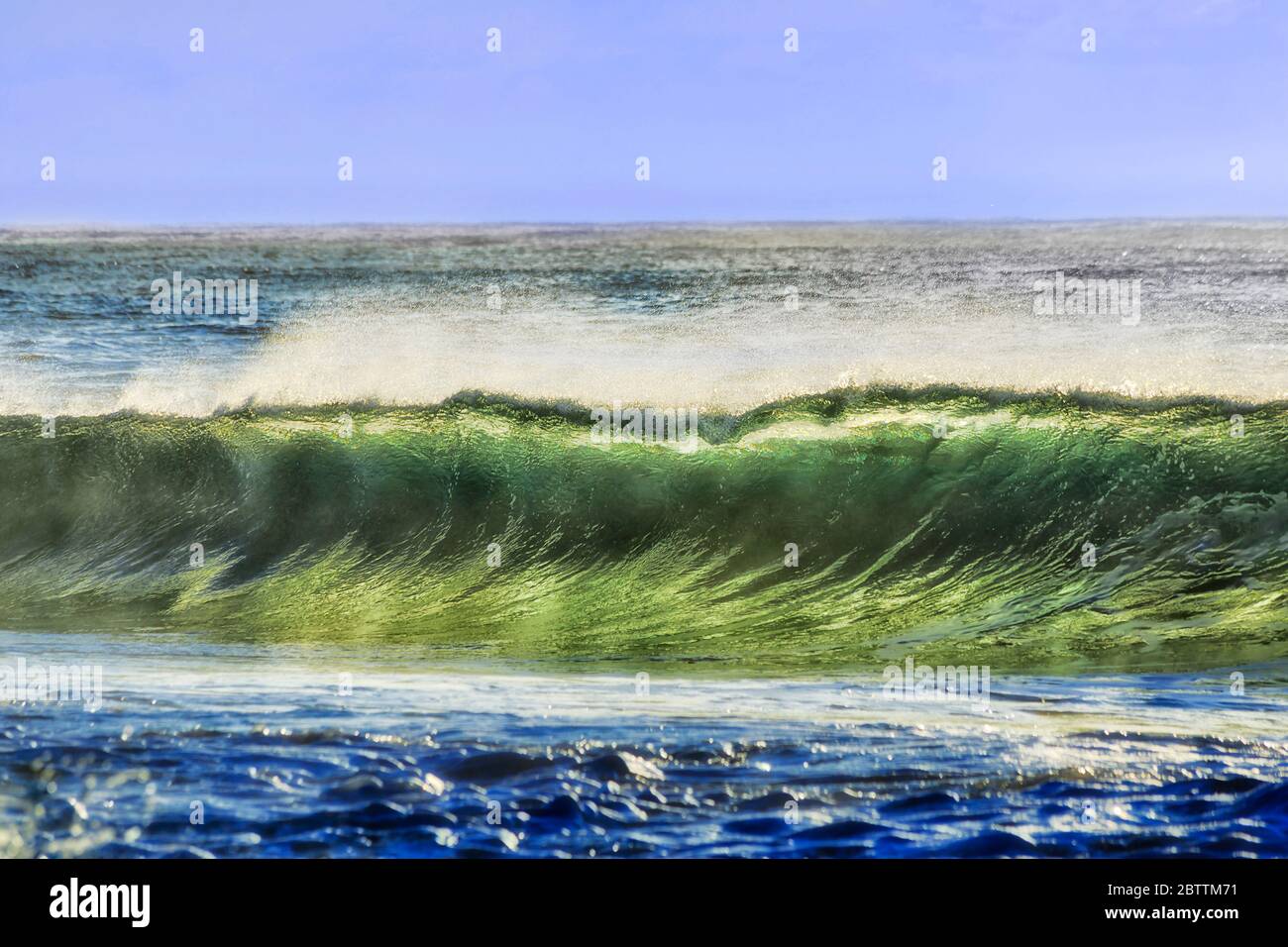 Emerald colour of rolling wave lit by soft morning sun at Sydney