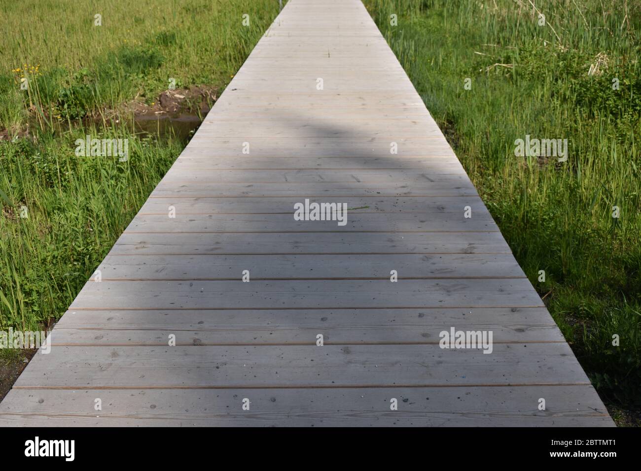 Small walkway over a lake in Switzerland Stock Photo