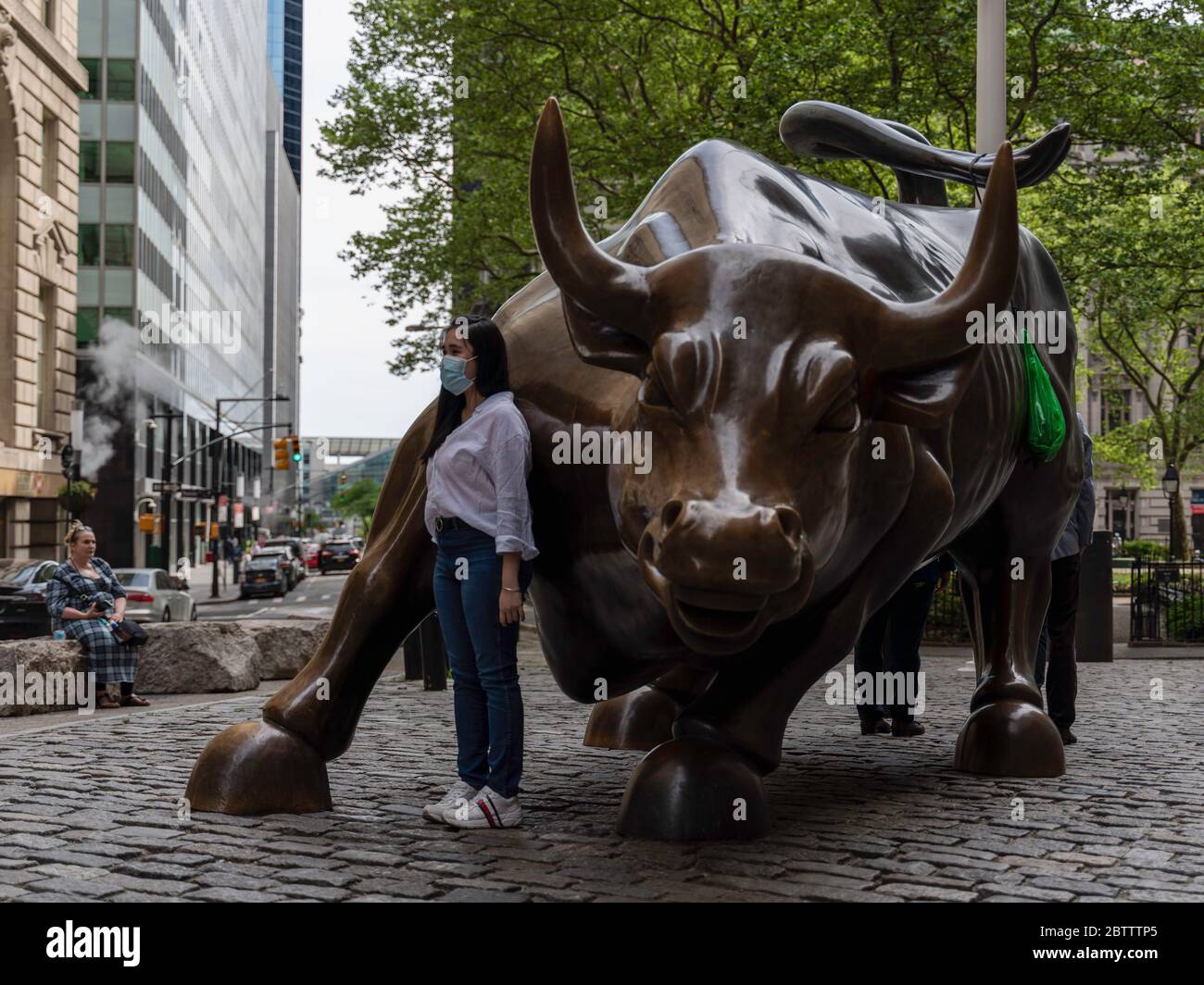 Download Bull Mask High Resolution Stock Photography And Images Alamy PSD Mockup Templates