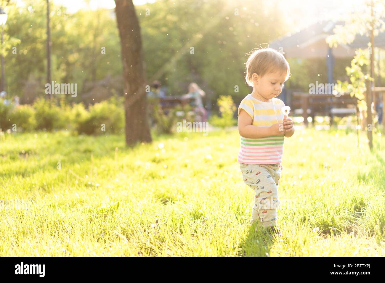 Childhood, nature, summer, parks and outdoors concept - portrait of cute blond-haired little boy in striped multi-colored T-shirt with dandelion in Stock Photo