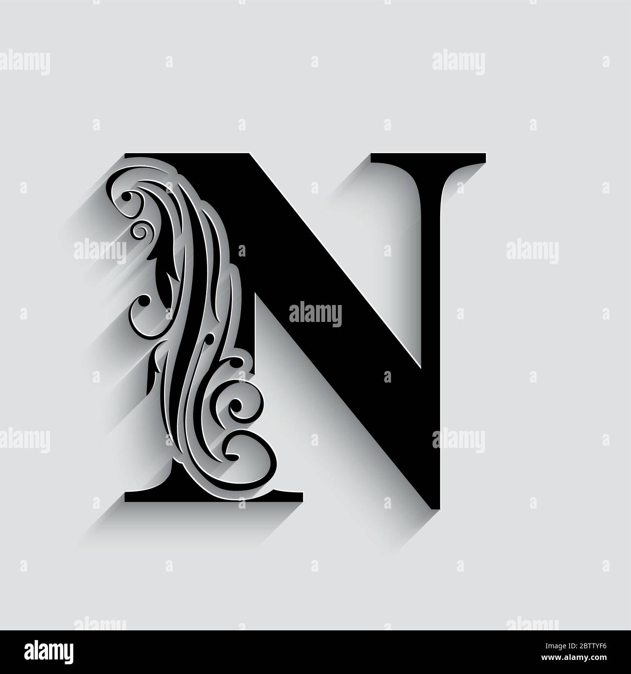 letter N. Black flower alphabet. Beautiful capital letter with shadow Stock  Vector Image & Art - Alamy