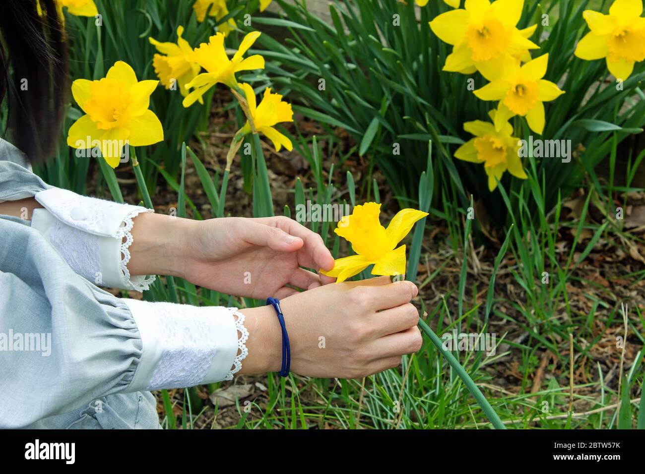 Young woman in flower garden Stock Photo
