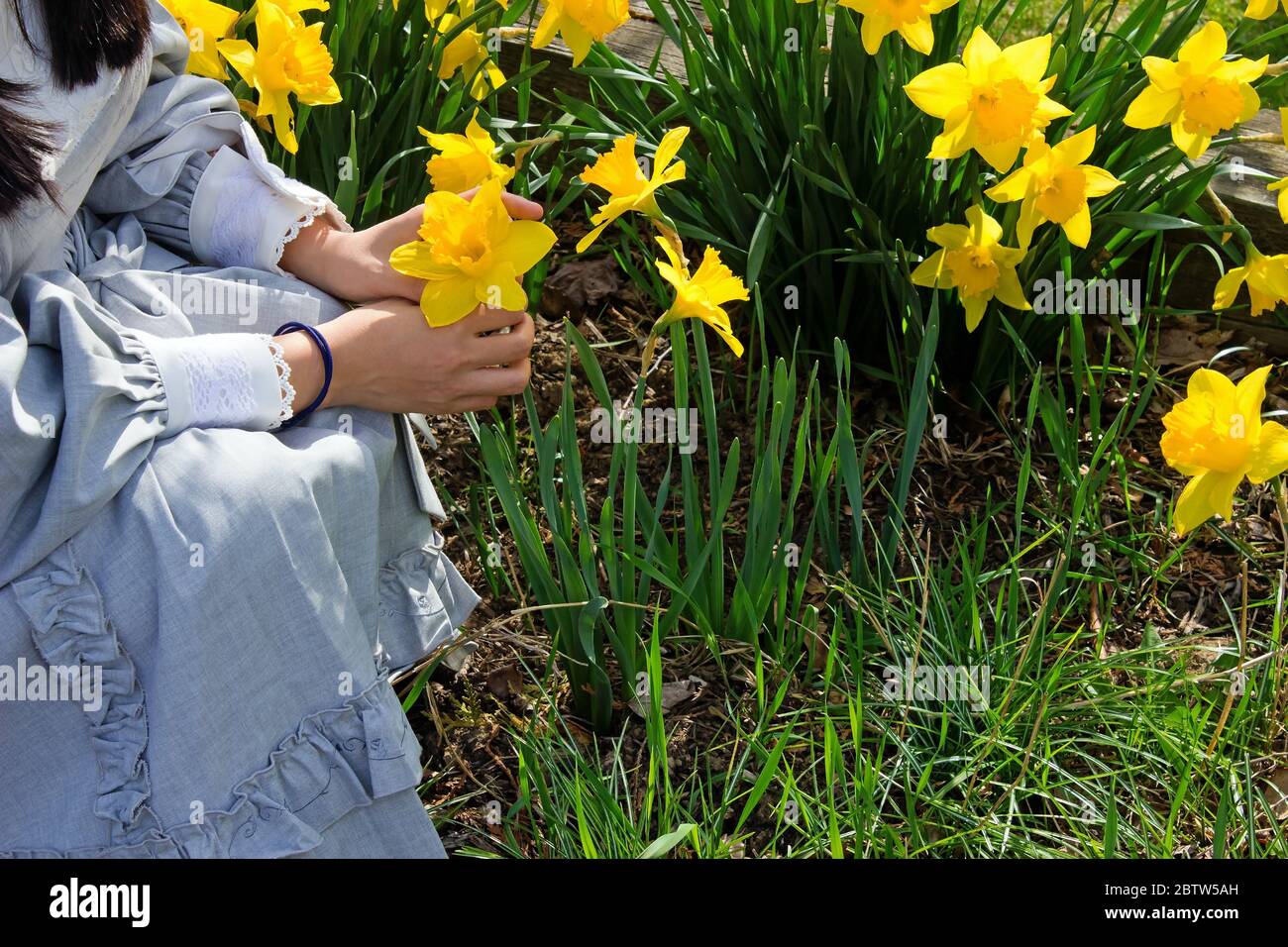 Young woman kneeling in daffodil garden Stock Photo