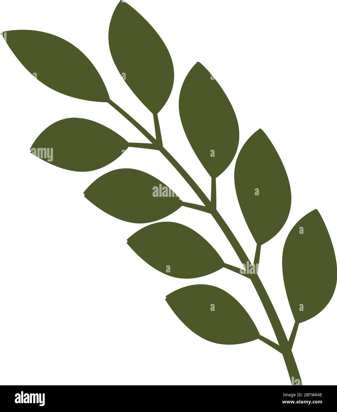 Isolated green leaf branch Stock Vector