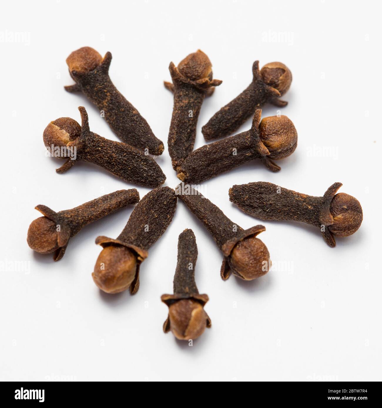 Closu-up view of dried cloves on white background Stock Photo