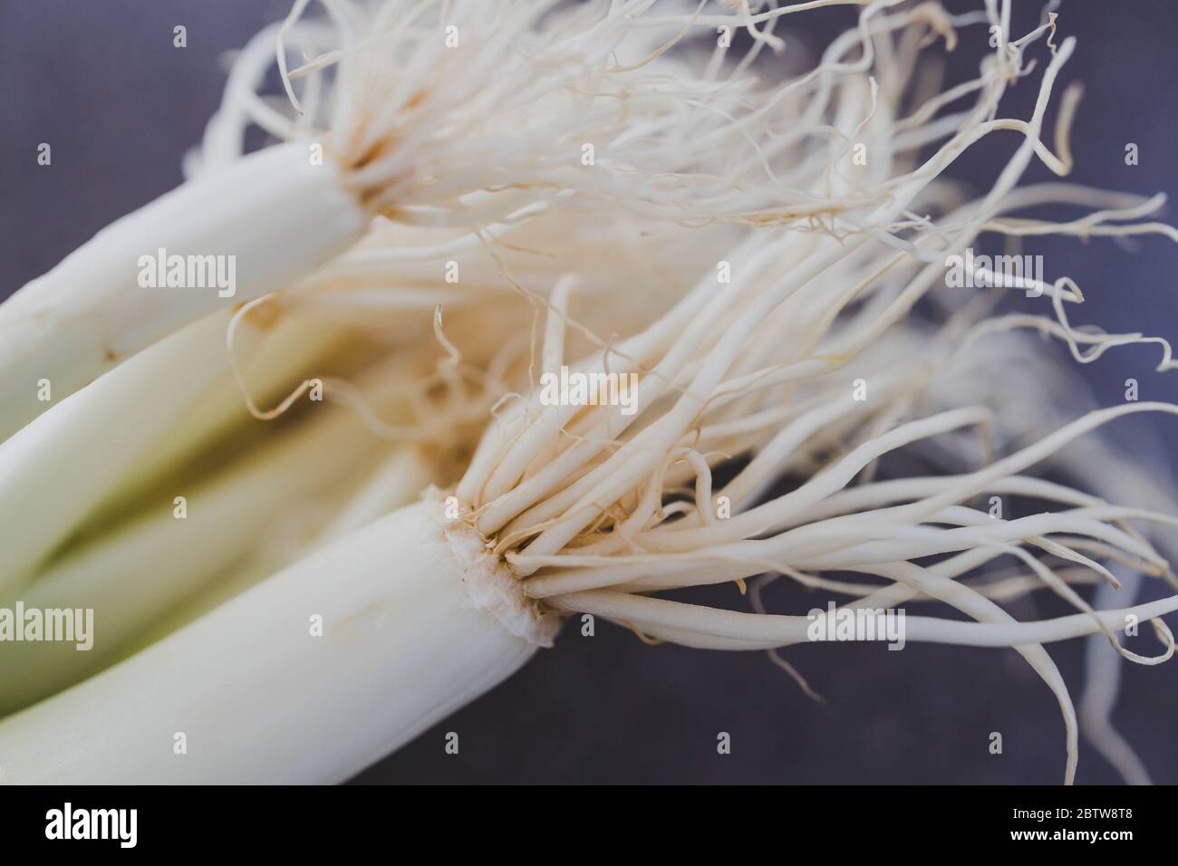 Spring Onion With Roots healthy plant-based ingredients, bunch of spring onions with roots on ...