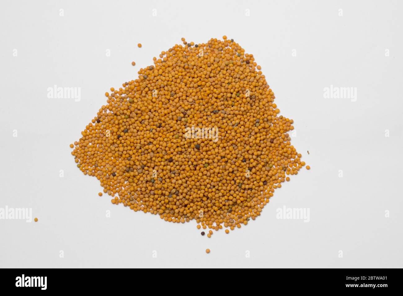 Grain of mustard hires stock photography and images Alamy
