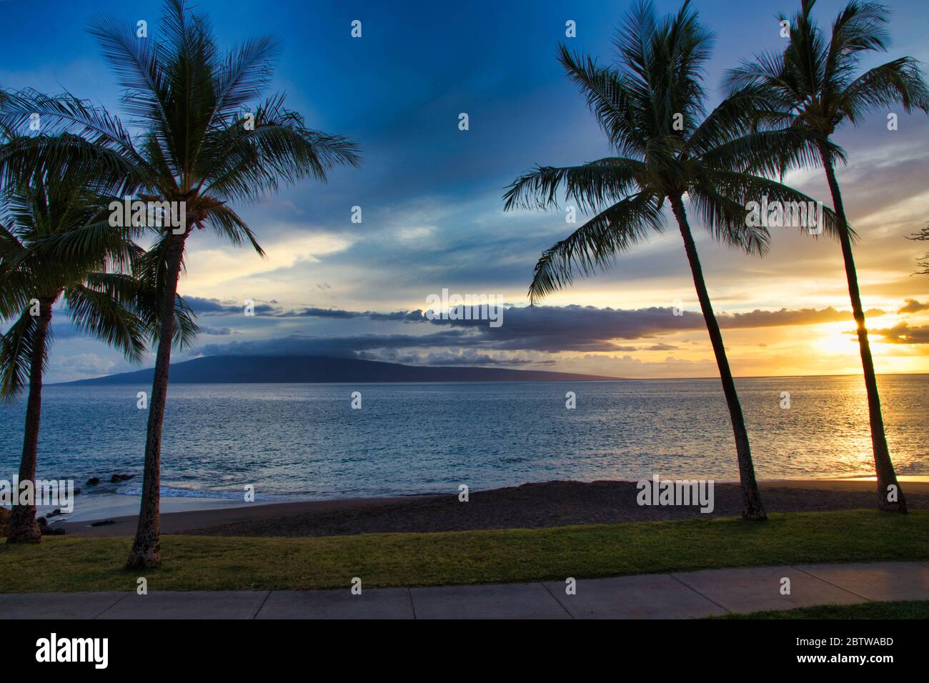 Tropical palm trees and island view at dusk. Stock Photo