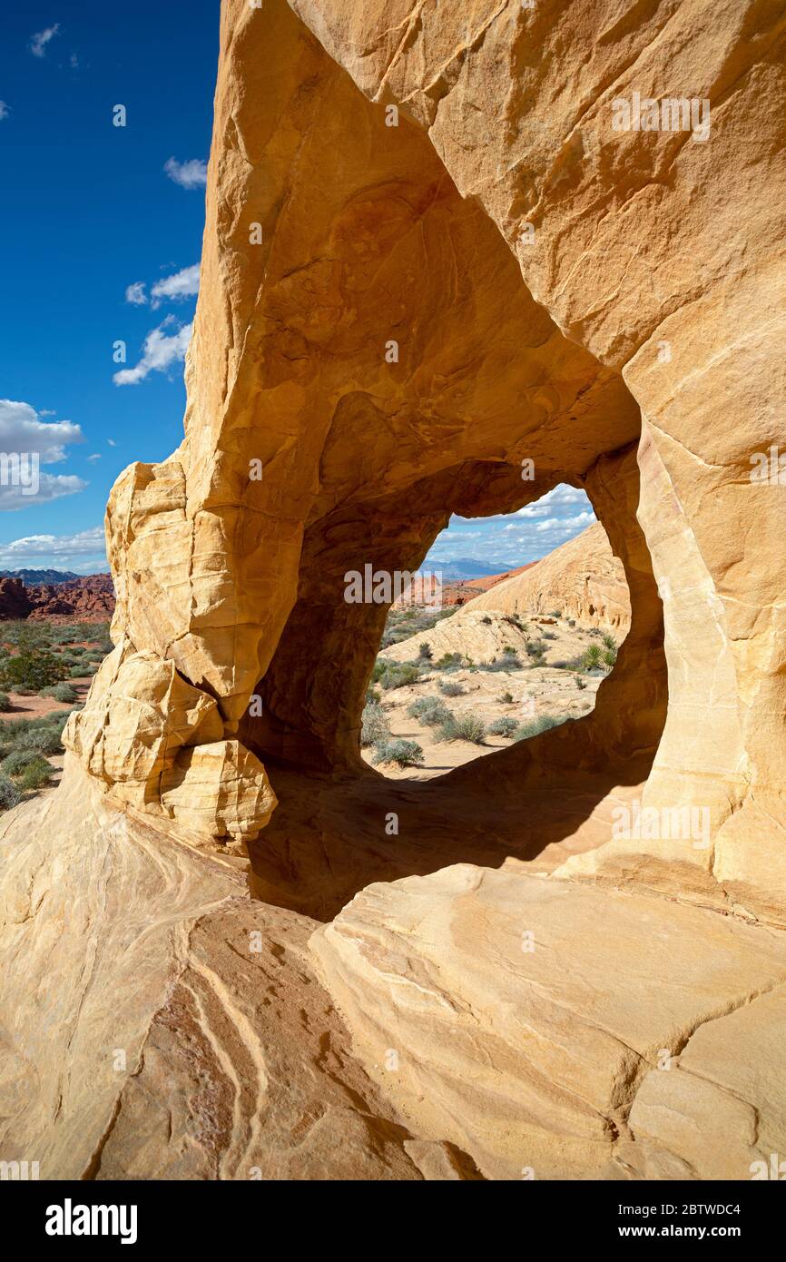 NV00131-00...NEVADA - A window through sandstone buttress viewed along the White Domes Loop Trail in Valley of Fire State Park. Stock Photo