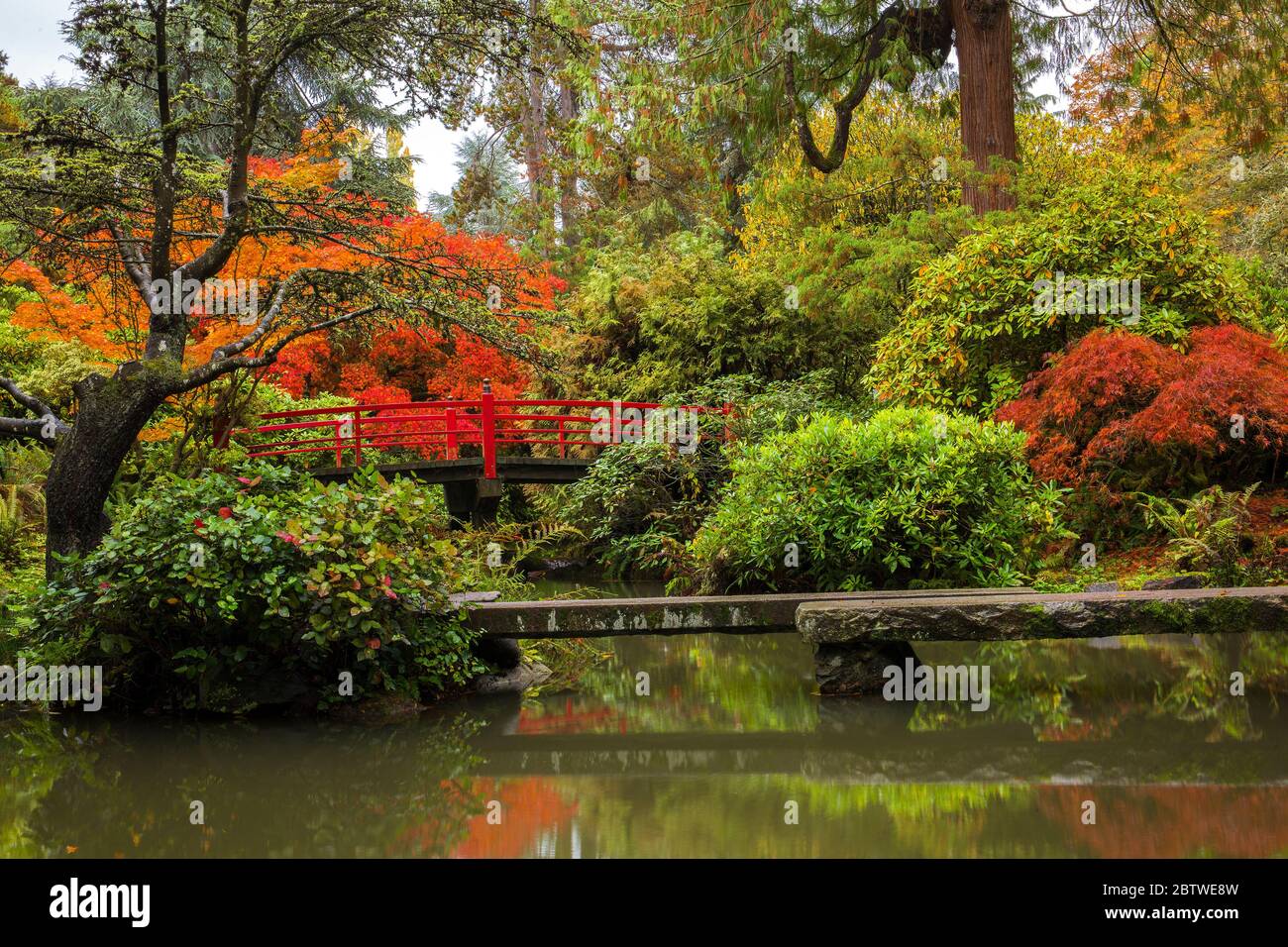 Beautiful fall colors and reflections at Kubota Garden in Seattle, WA