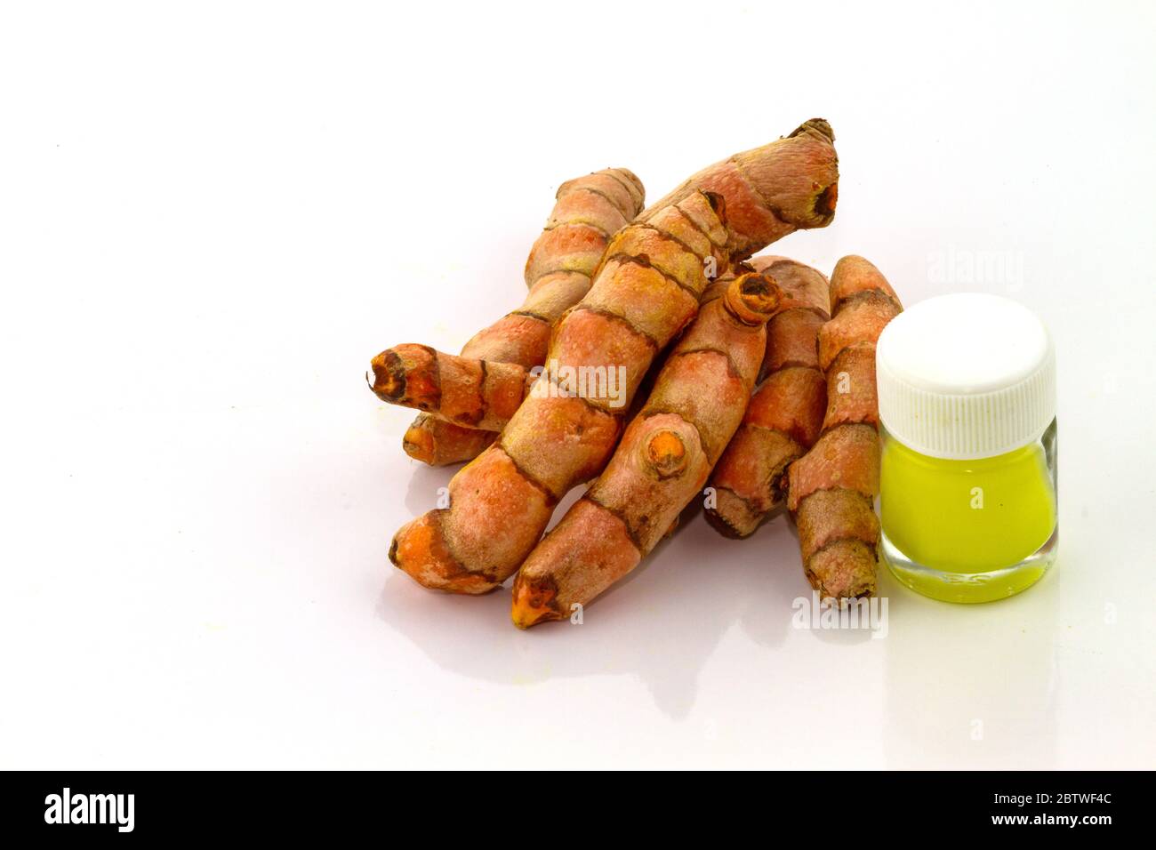 fresh Zingiber cassumunar Roxb (Zingiberaceae, Zingiber cassumunar Roxb ...