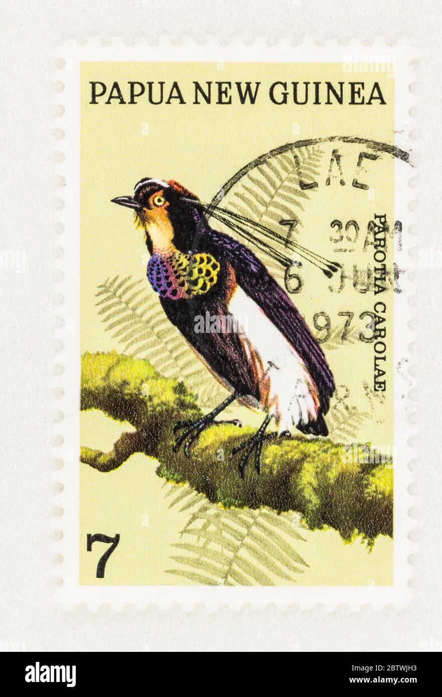 SEATTLE WASHINGTON - May 25, 2020:  Close up of male Queen Carola's six-wired bird-of-paradise on Papua New Guinea stamp. Scott # 365 Stock Photo