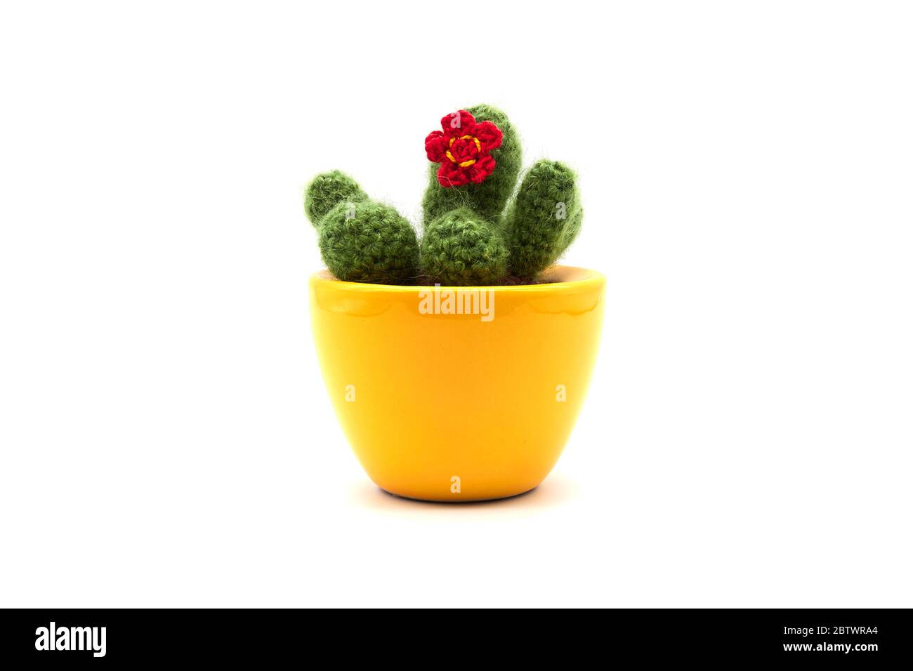 Green Ceramic Cactus Stacking Measuring Cups, Red Cactus Flower