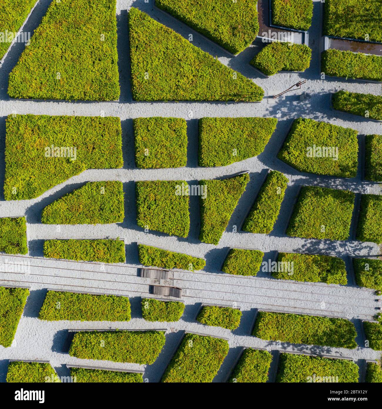 Green labyrinth in garden geometrical symmetry maze Aerial drone view Stock Photo